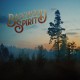 Backwood Spirit - Backwood Spirit (vinyl)